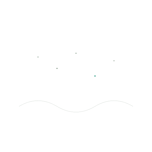 森と星
